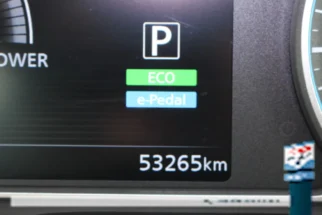 Nissan-Leaf