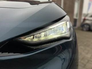 Cupra-Born
