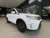 Suzuki-Vitara