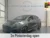 Ford-Puma