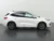 Ford-Kuga