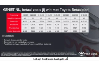 Toyota-RAV4